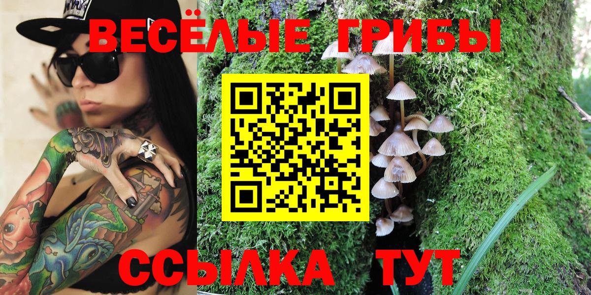 Осинники  Псилоцибиновые грибы прущие грибы  Вход с VPN 