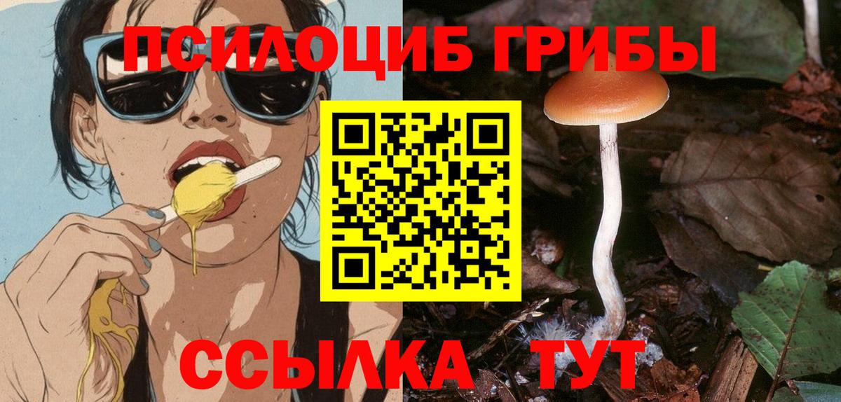 Галлюциногенные грибы мицелий Осинники